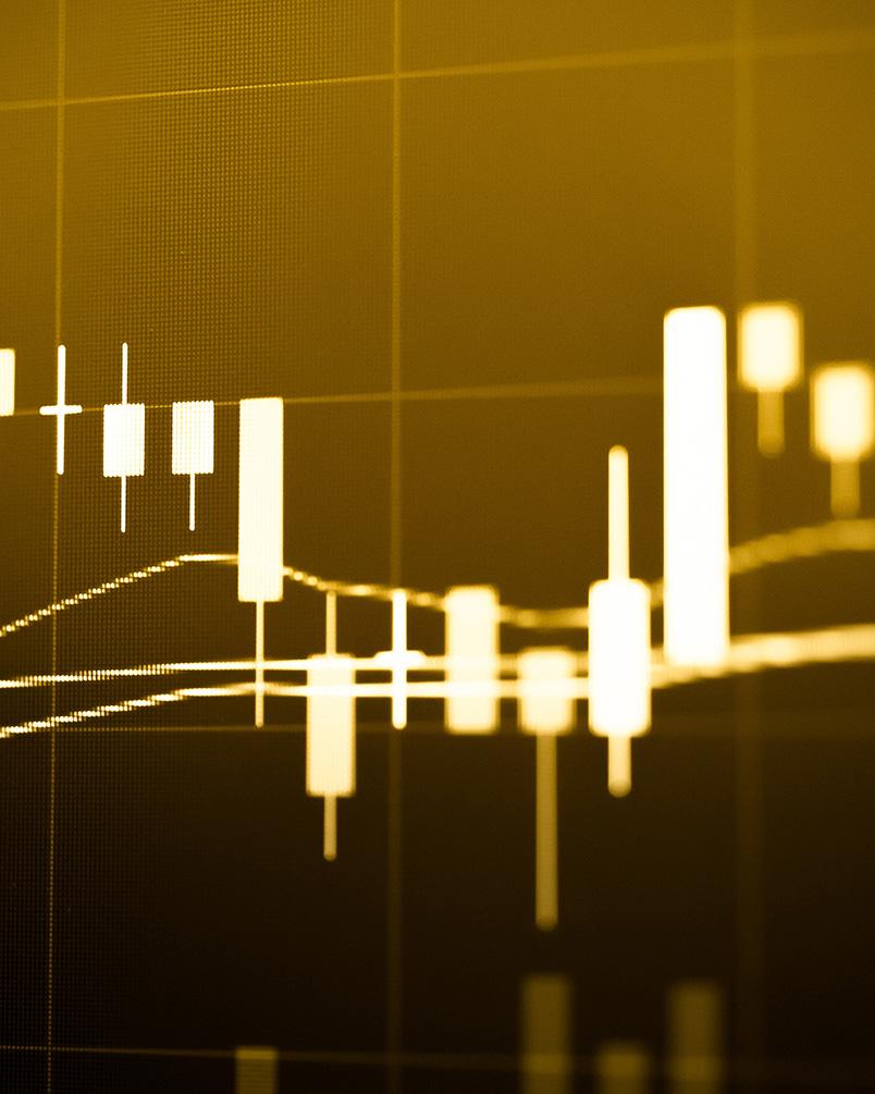 Trading e Monitoraggio Mercati Finanziari